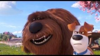 Кадр з фільму Секрети домашніх тварин 2