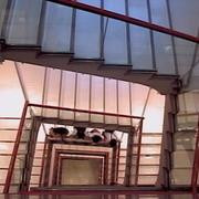 Кадр з фільму Любов та Поп