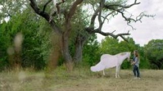 Кадр з фільму Пегас: Чарівний поні