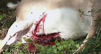 Кадр з фільму Пришестя диявола