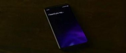 Кадр з фільму Джексі