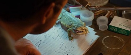 Кадр з фільму Острів Нім