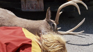 Кадр з фільму Теммі