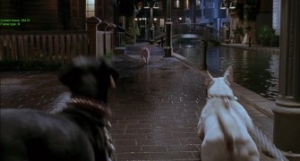 Кадр з фільму Бейб: Поросятко у місті