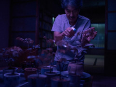 Кадр з фільму Ідеальні дні