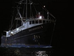 Кадр з фільму Нові Робінзони