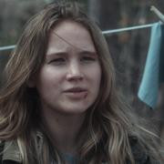 Кадр з фільму Зимова кістка