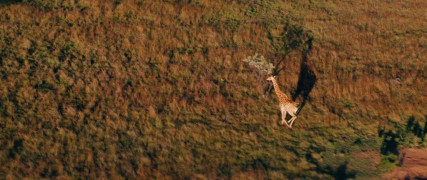 Кадр з фільму Об'єднане королівство