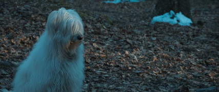 Кадр з фільму Віртуоз