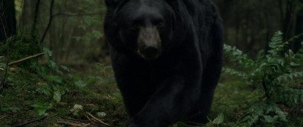 Кадр з фільму Глушина