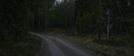 Кадр з фільму Ілюзія втечі