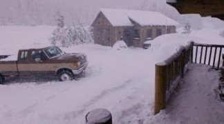 Кадр з фільму Снігові пригоди цуценят