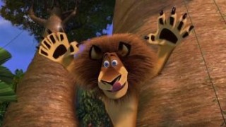 Кадр з фільму Мадагаскар