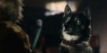 Кадр з фільму Тоґо