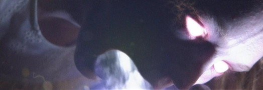 Кадр з фільму Крути пляшку