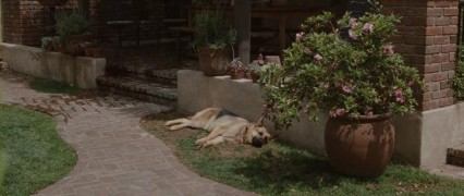 Кадр з фільму Грінберг