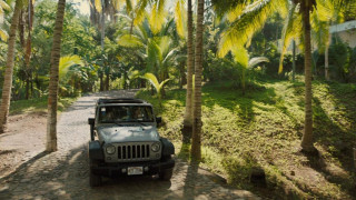 Кадр з фільму Весь цей світ