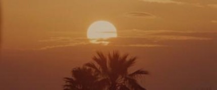 Кадр з фільму М'ята