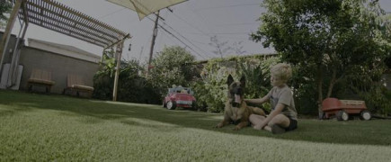 Кадр з фільму Дог