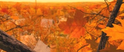 Кадр з фільму Будинок-монстр