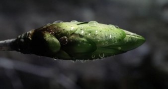 Кадр з фільму Війна світів