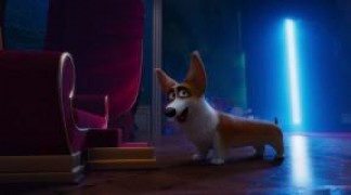 Кадр з фільму Королівський коргі