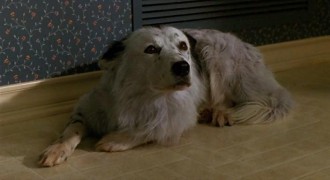 Кадр з фільму Техасвілль