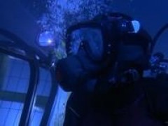 Кадр з фільму Акули 2