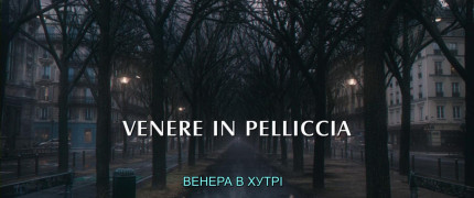 Кадр з фільму Венера в хутрі