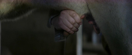 Кадр з фільму Незакінчене життя