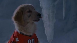 Кадр з фільму Снігові пригоди цуценят