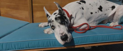 Кадр з фільму Друг