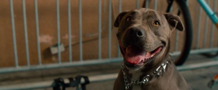 Кадр з фільму Хапай і тікай