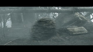 Кадр з фільму Прогулянки з динозаврами