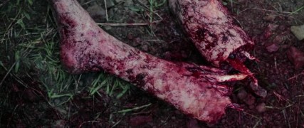 Кадр з фільму Первісна лють