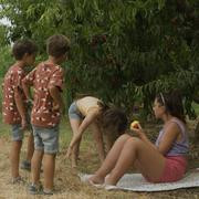 Кадр з фільму Алькаррас