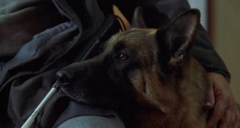 Кадр з фільму К-9. Приватні детективи