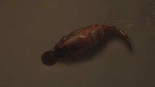 Кадр з фільму Людина-личинка