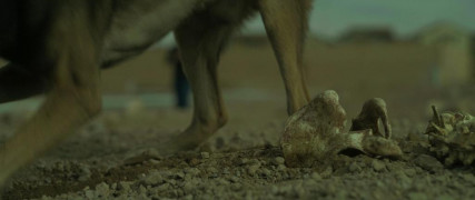 Кадр з фільму Могильник