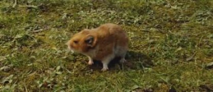 Кадр з фільму Різанина