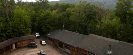 Кадр з фільму Вовк і лев