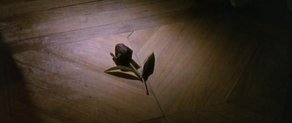 Кадр з фільму Чорний тюльпан