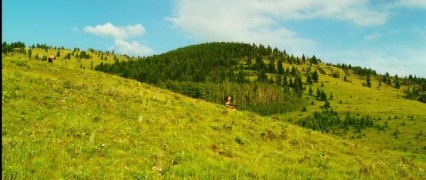 Кадр з фільму Неймовірна подорож містера Співета