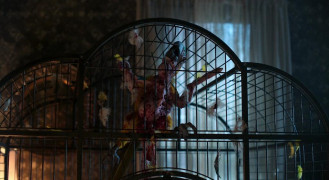 Кадр з фільму Жало