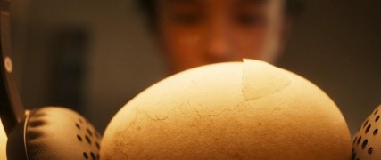 Кадр з фільму Розправ крила