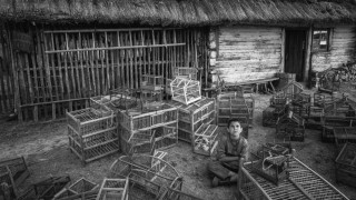 Кадр з фільму Пофарбоване пташеня