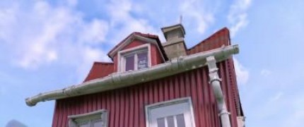 Кадр з фільму Пташині пригоди