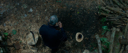 Кадр з фільму Анемона