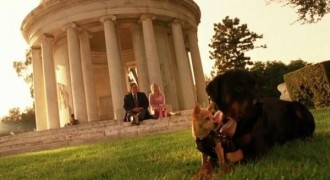 Кадр з фільму Білявка в законі 2