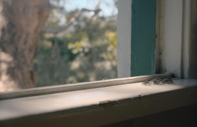 Кадр з фільму Марсель, мушля в черевичках